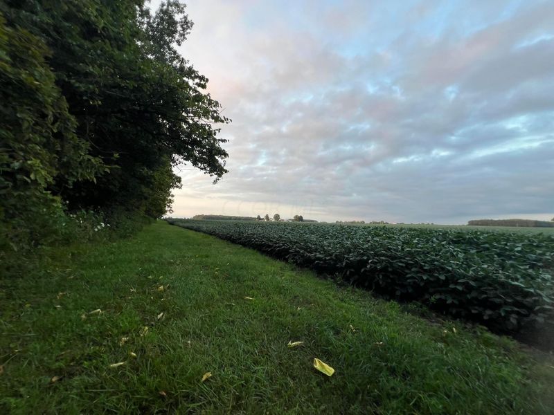 0 Norton Road, Radnor, OH 43066 Photo 13