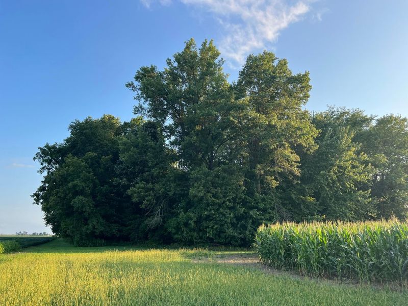 0 Norton Road, Radnor, OH 43066 Photo 13