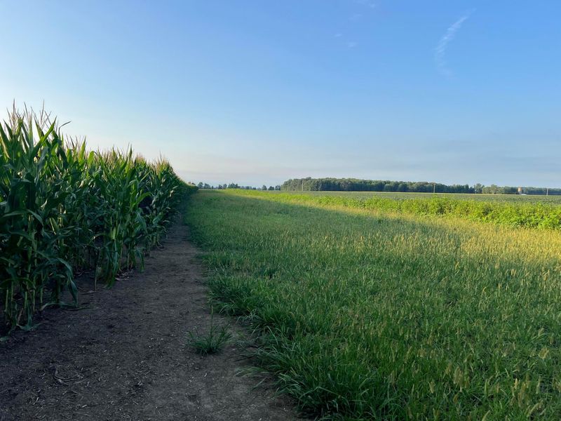 0 Norton Road, Radnor, OH 43066 Photo 14