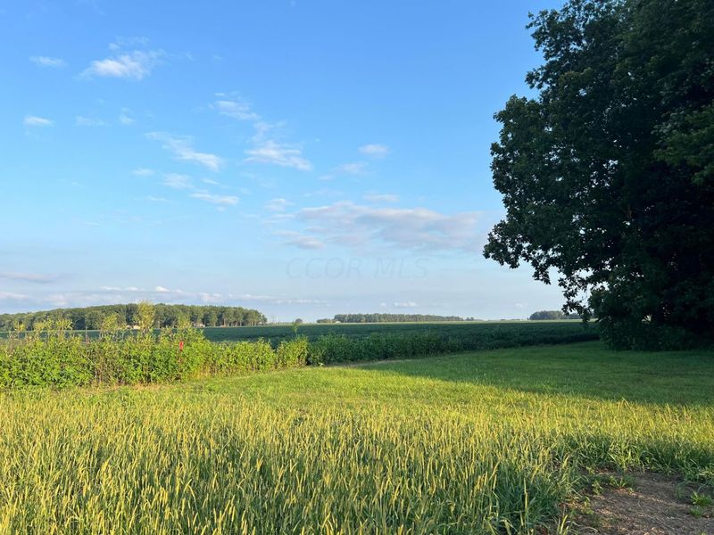 0 Norton Road, Radnor, OH 43066 Photo 14