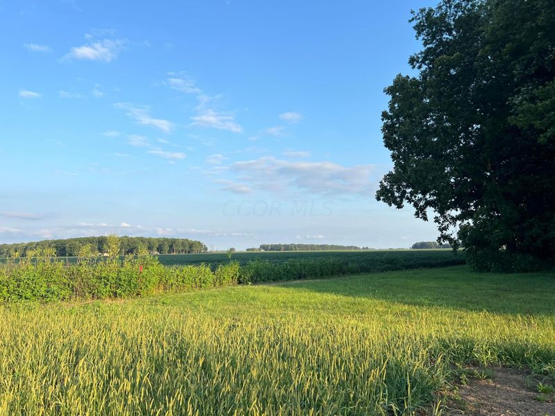 0 Norton Road, Radnor, OH 43066 Photo 16