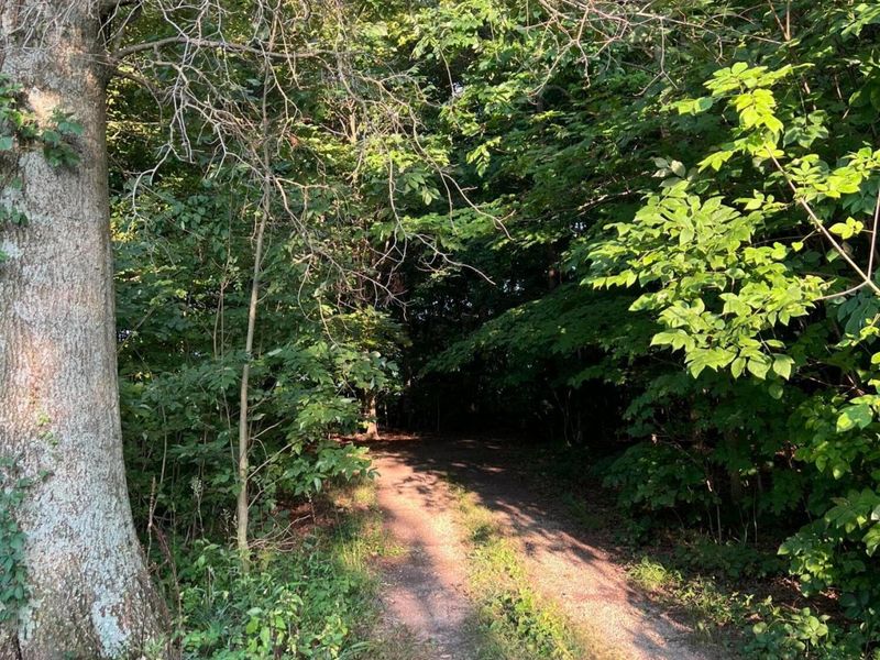 0 Norton Road, Radnor, OH 43066 Photo 16