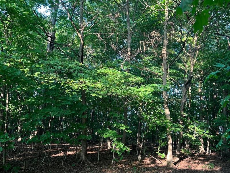 0 Norton Road, Radnor, OH 43066 Photo 19