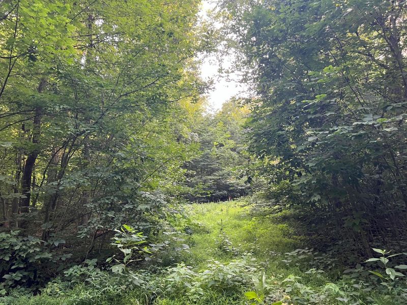 0 Norton Road, Radnor, OH 43066 Photo 20