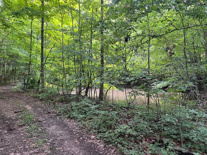 0 Norton Road, Radnor, OH 43066 Photo 21