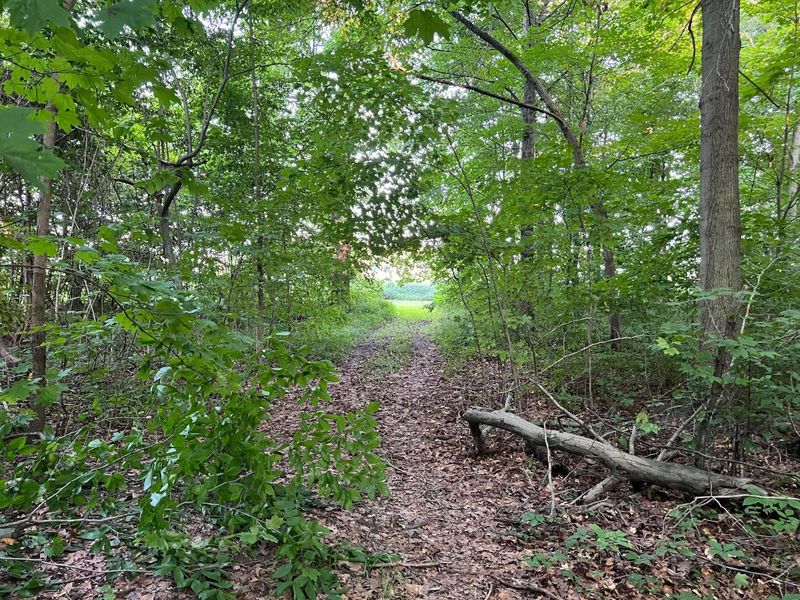 0 Norton Road, Radnor, OH 43066 Photo 22