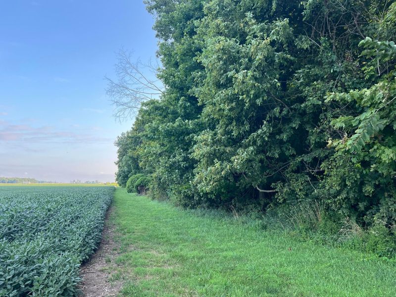 0 Norton Road, Radnor, OH 43066 Photo 24