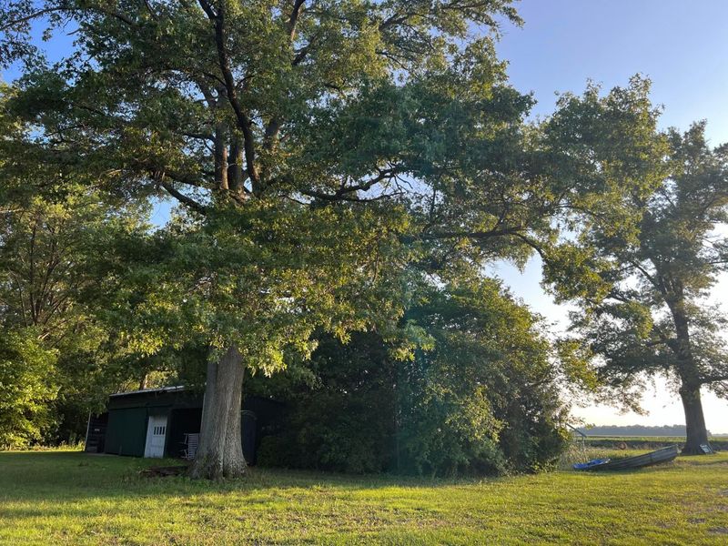 0 Norton Road, Radnor, OH 43066 Photo 24