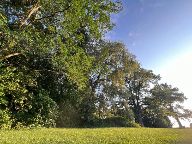 0 Norton Road, Radnor, OH 43066 Photo 27