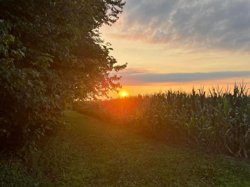 0 Norton Road, Radnor, OH 43066 Photo 31