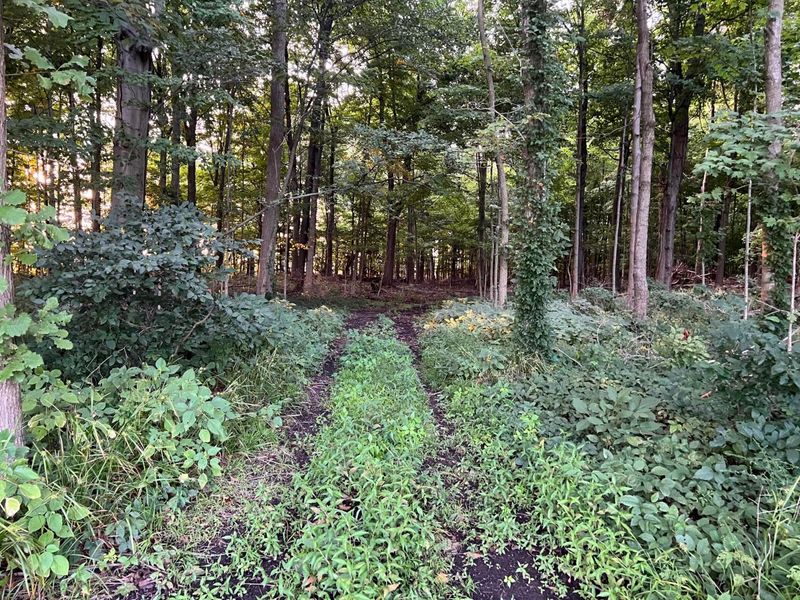 0 Norton Road, Radnor, OH 43066 Photo 33