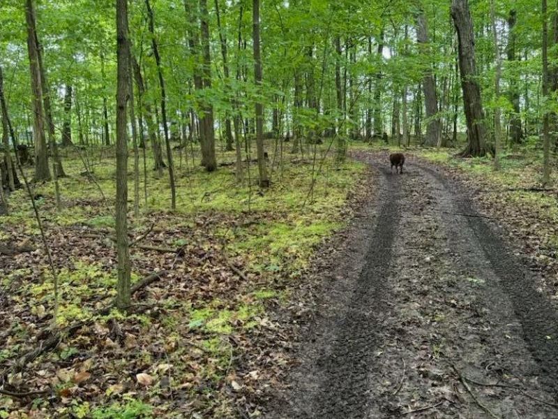 0 Norton Road, Radnor, OH 43066 Photo 9