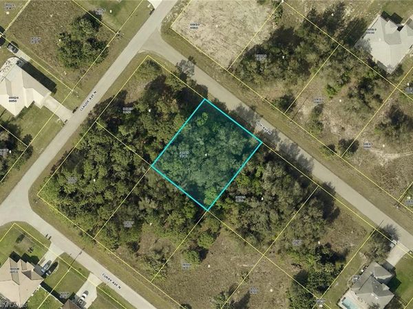 2007 Coy AVE N, LEHIGH ACRES, FL 33971
