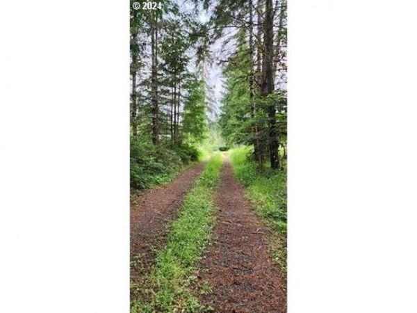 24099 HALL RD, Cheshire, OR 97419