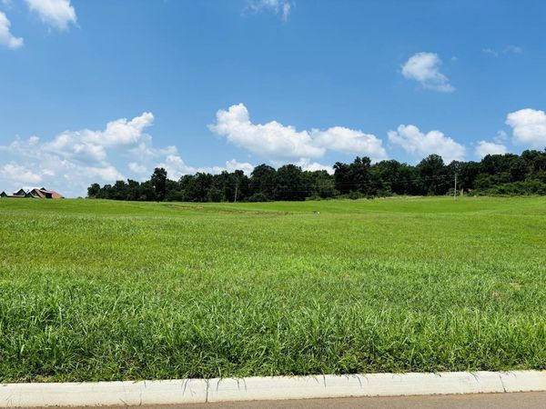 Lot 79 Meadow Vista Way, White Pine, TN 37890