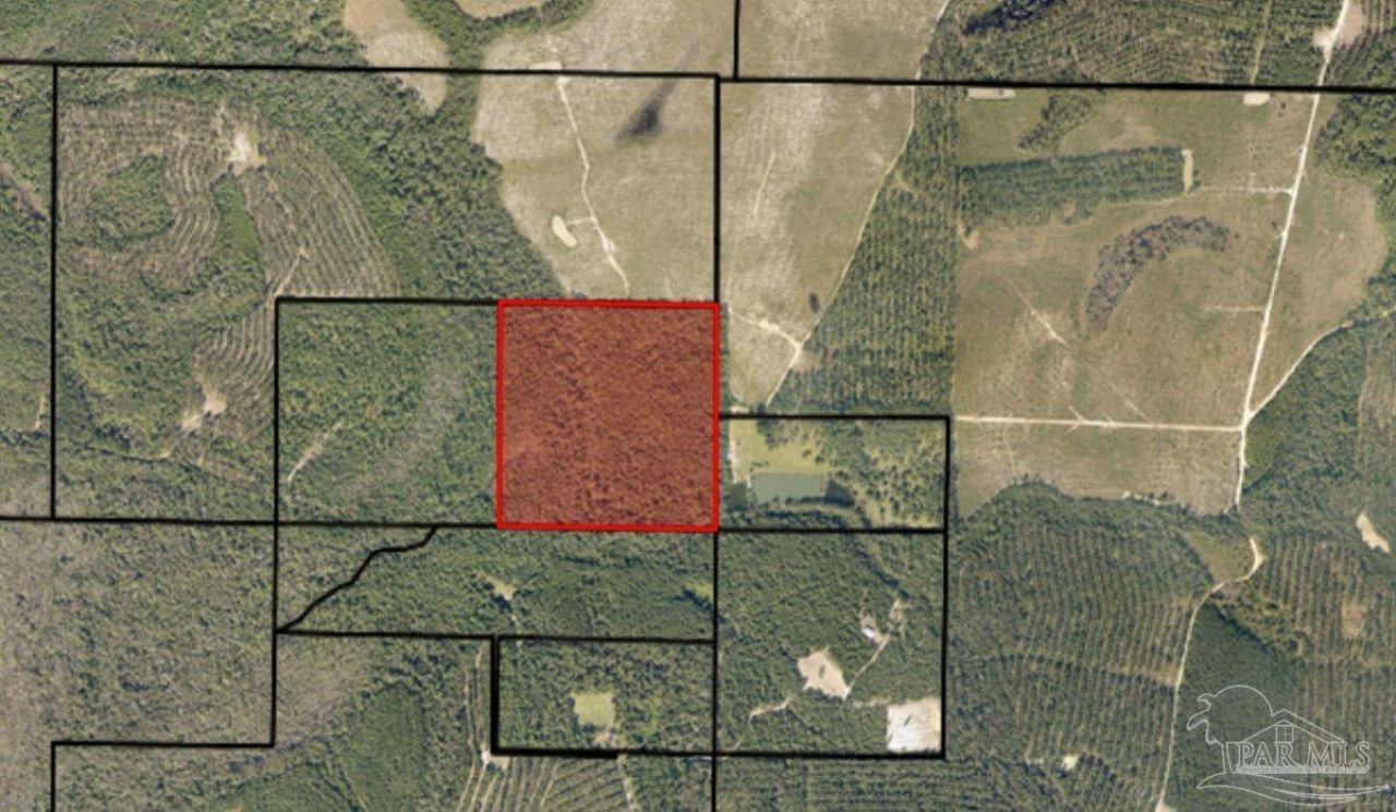 00500 Wayne Bowman Rd, Jay, FL 32565 Main Photo