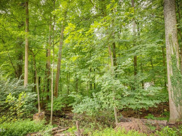 4528 Glenbrook Drive, Kingsport, TN 37664