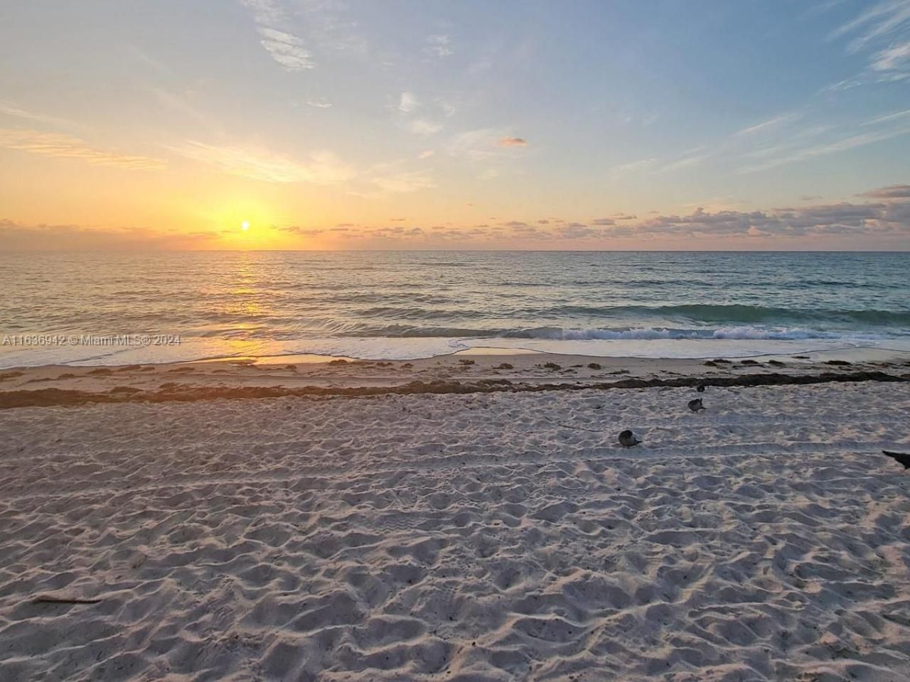 1825 S Ocean Dr, Unit 206, Hallandale Beach, FL 33009 Photo