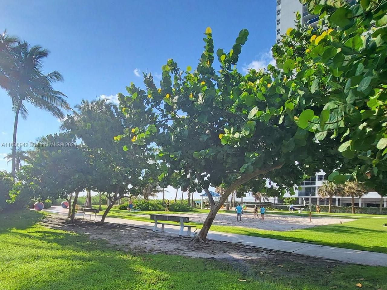 1825 S Ocean Dr, Unit 206, Hallandale Beach, FL 33009 Photo