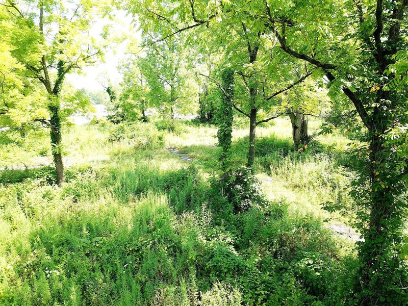 0 N Liberty Street, Delaware, OH 43015 Photo 21