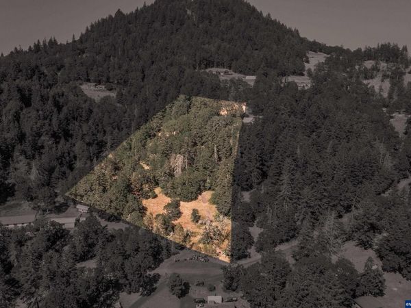 28920 Sheep Head (Next to) Rd, Brownsville, OR 97327