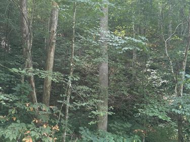 9999 May Fork Road, Manchester, KY 40962