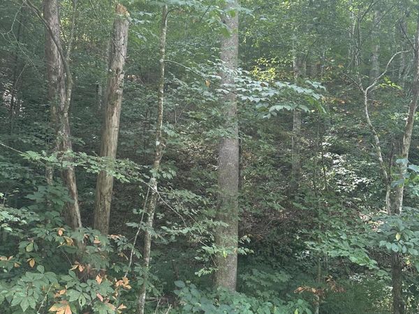 9999 May Fork Road, Manchester, KY 40962