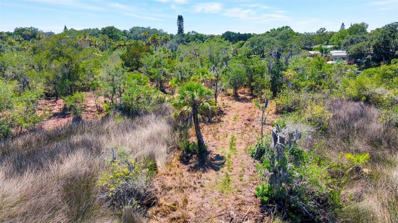 0 Japonica Court, New Port Richey, FL 34655 Photo