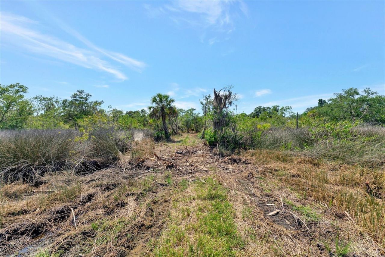 0 Japonica Court, New Port Richey, FL 34655 Photo