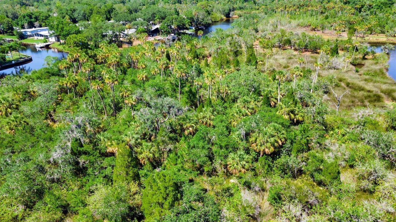 0 Japonica Court, New Port Richey, FL 34655 Photo