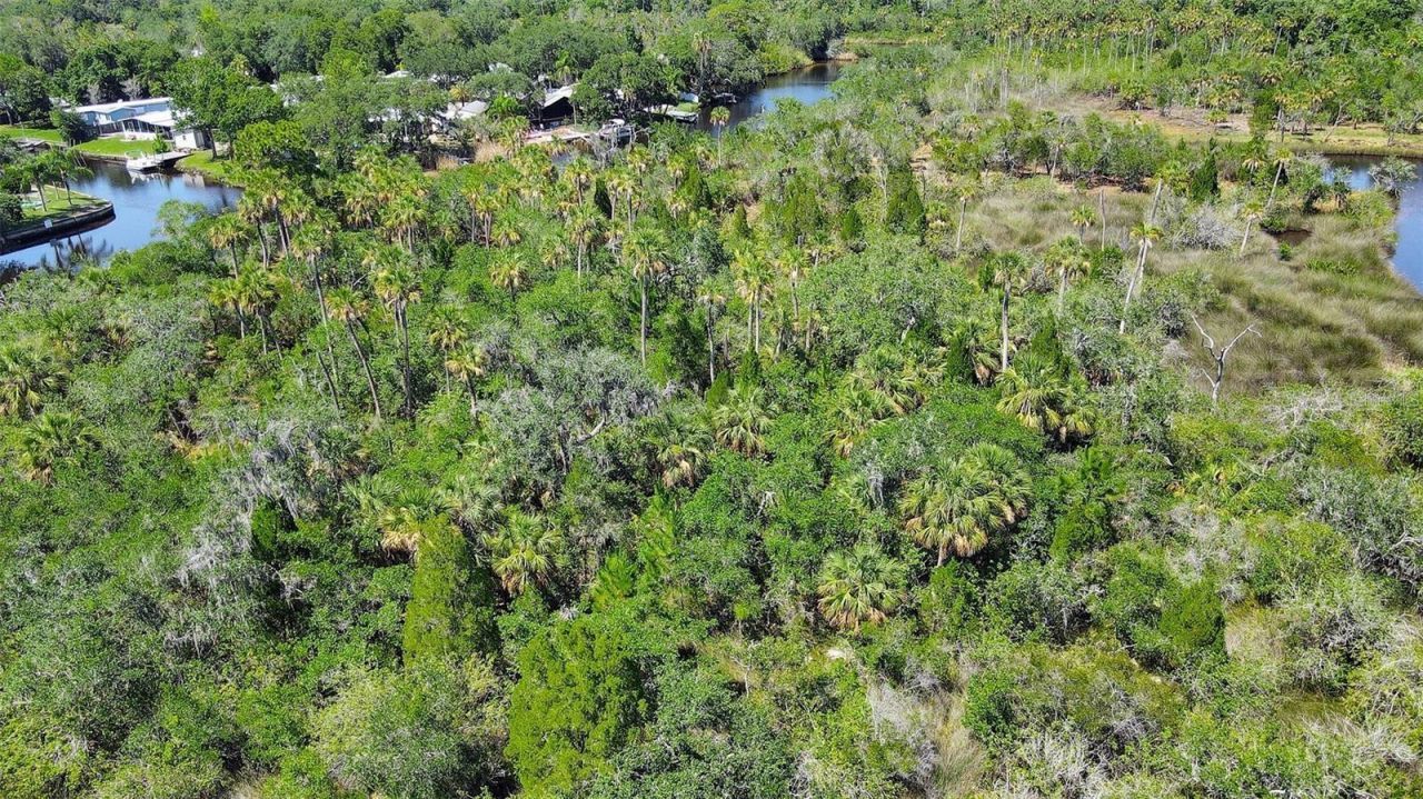 0 Japonica Court, New Port Richey, FL 34655 Photo