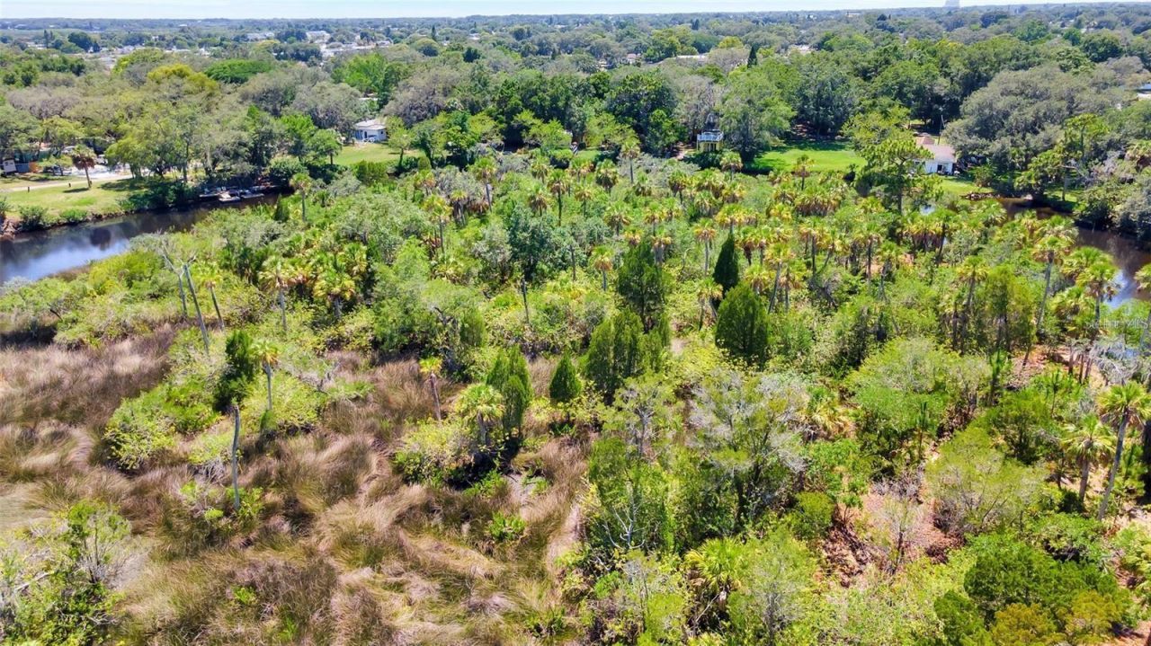 0 Japonica Court, New Port Richey, FL 34655 Photo