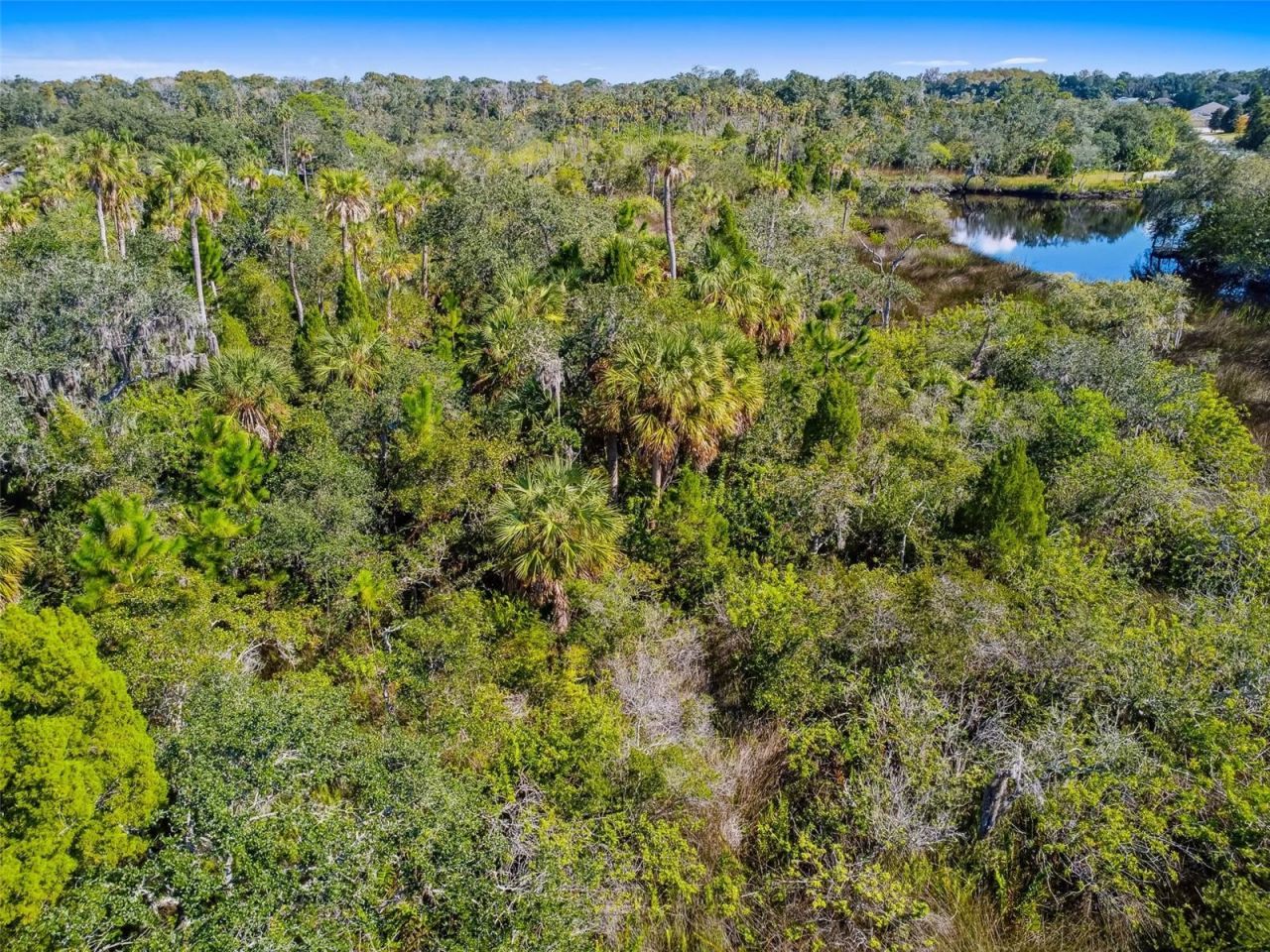 0 Japonica Court, New Port Richey, FL 34655 Photo