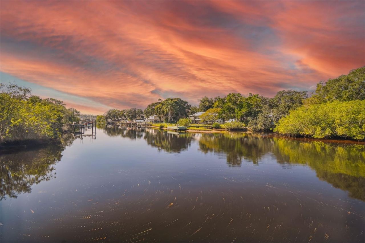 0 Japonica Court, New Port Richey, FL 34655 Photo