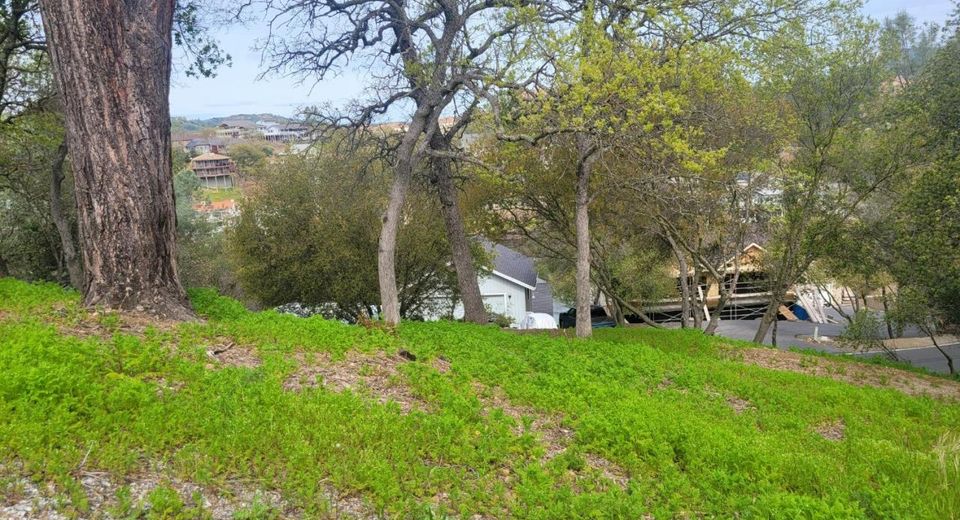 209 Oakhurst Ct, Copperopolis, CA 95228 Photo