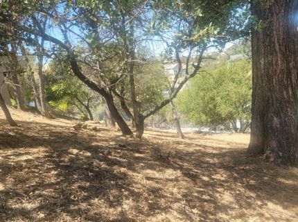 209 Oakhurst Ct, Copperopolis, CA 95228 Photo