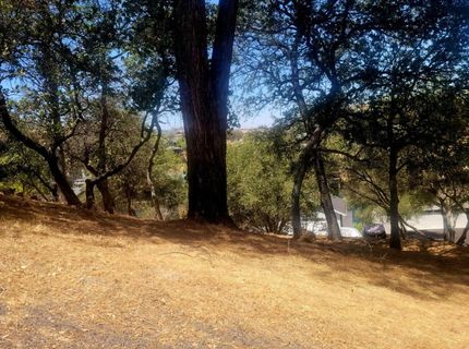 209 Oakhurst Ct, Copperopolis, CA 95228 Photo