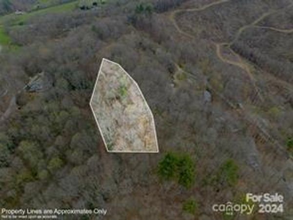 0000 MINERVA Drive, Waynesville, NC 28785