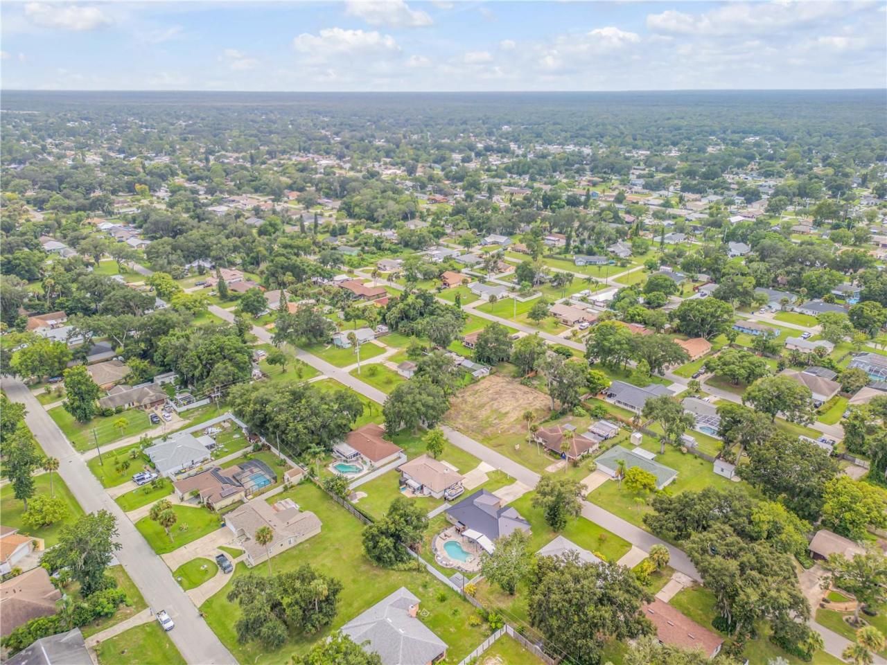2324 Orange Tree Drive, Edgewater, FL 32141 Photo