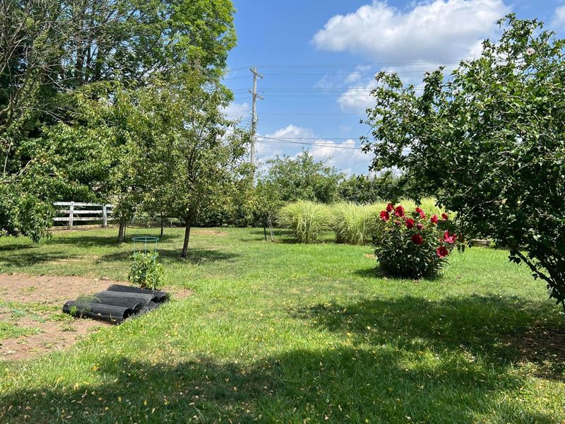 2965 Beech Road NW, Johnstown, OH 43031 Photo 16