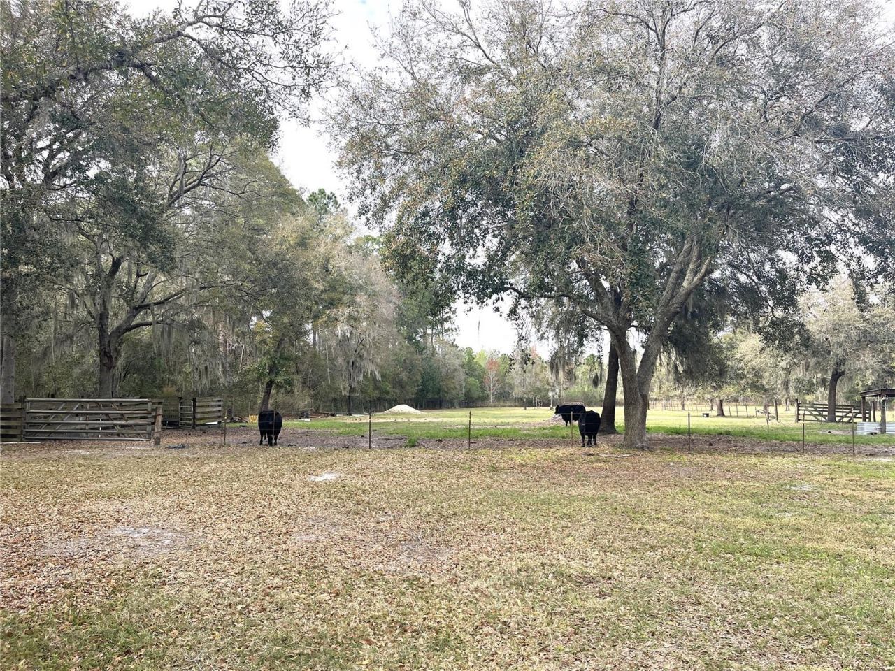 30737 Elam Road, Wesley Chapel, FL 33545 Photo