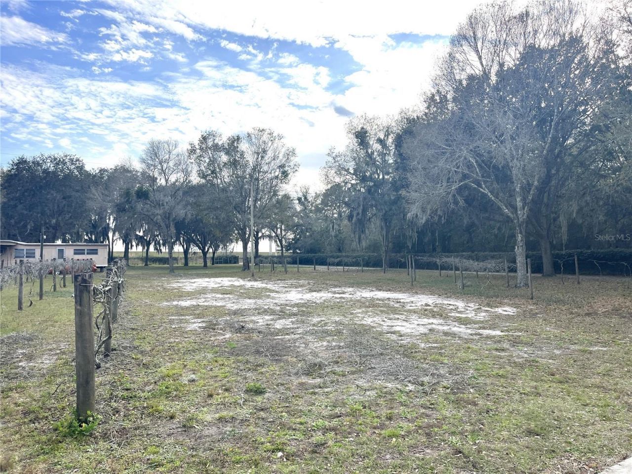 30737 Elam Road, Wesley Chapel, FL 33545 Photo