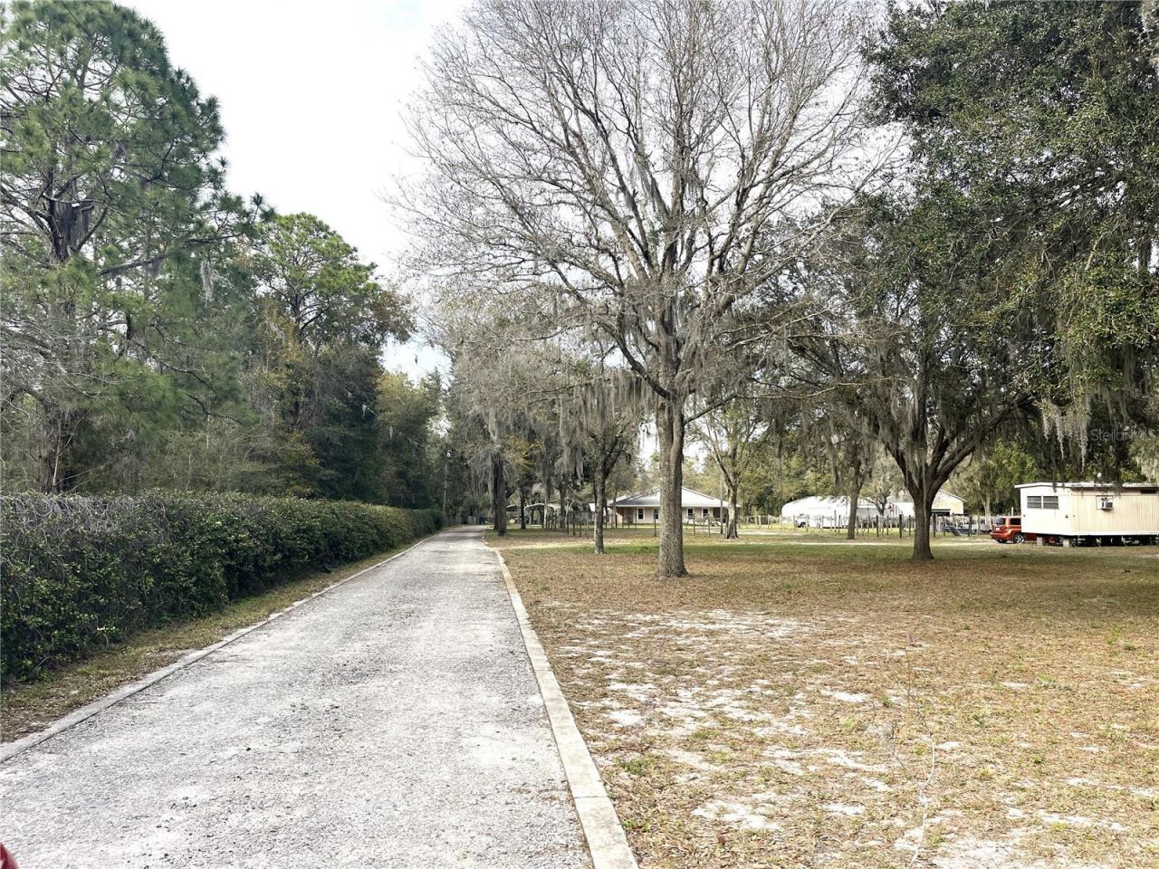 30737 Elam Road, Wesley Chapel, FL 33545 Photo