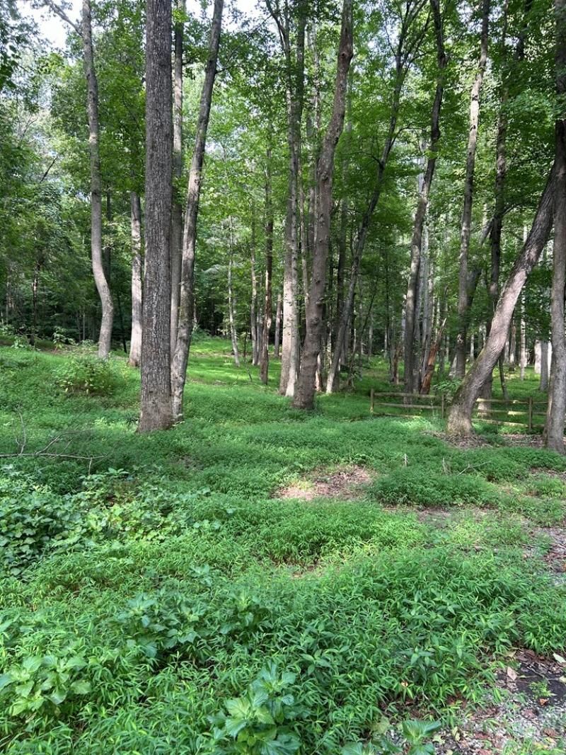 Lot 037 Crosshills Road, Heathsville, VA 22473 Main Photo