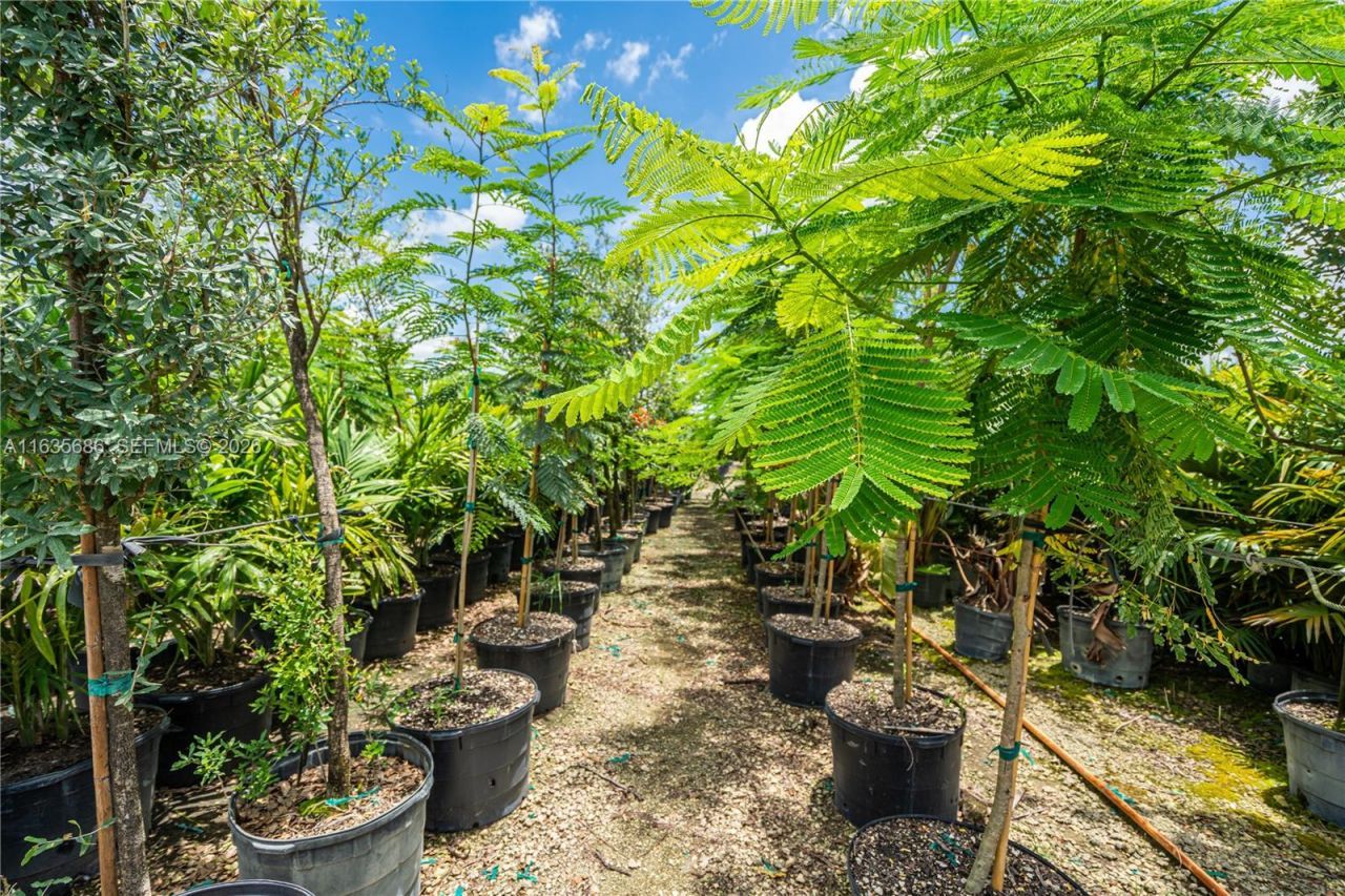 17100 SW 197th Ave, Miami, FL 33187 Photo