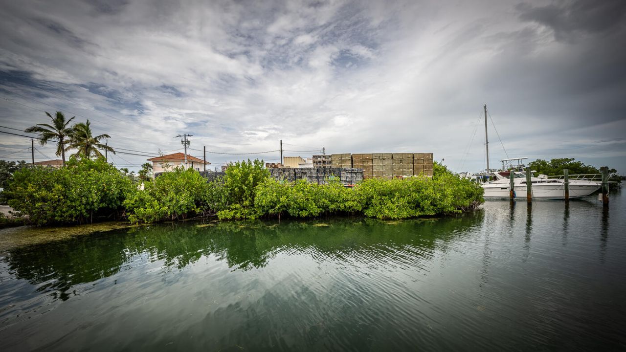 15 Seaview Avenue, Conch, FL 33050 Photo