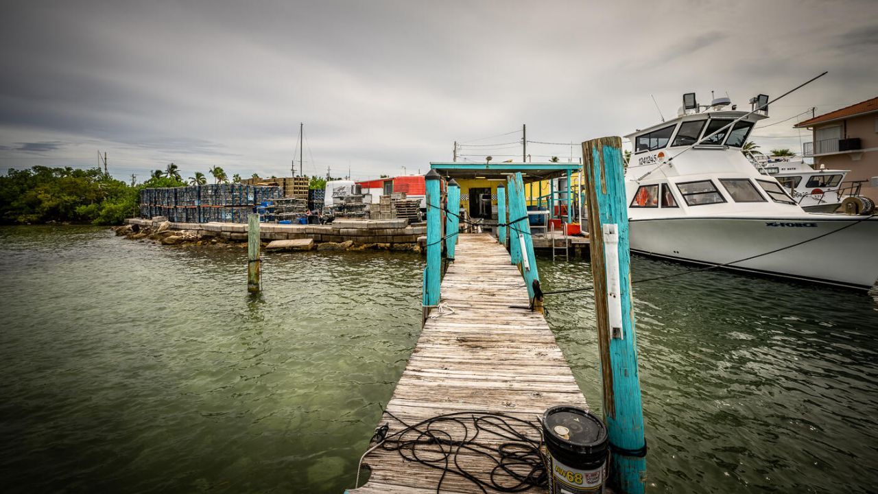 15 Seaview Avenue, Conch, FL 33050 Photo