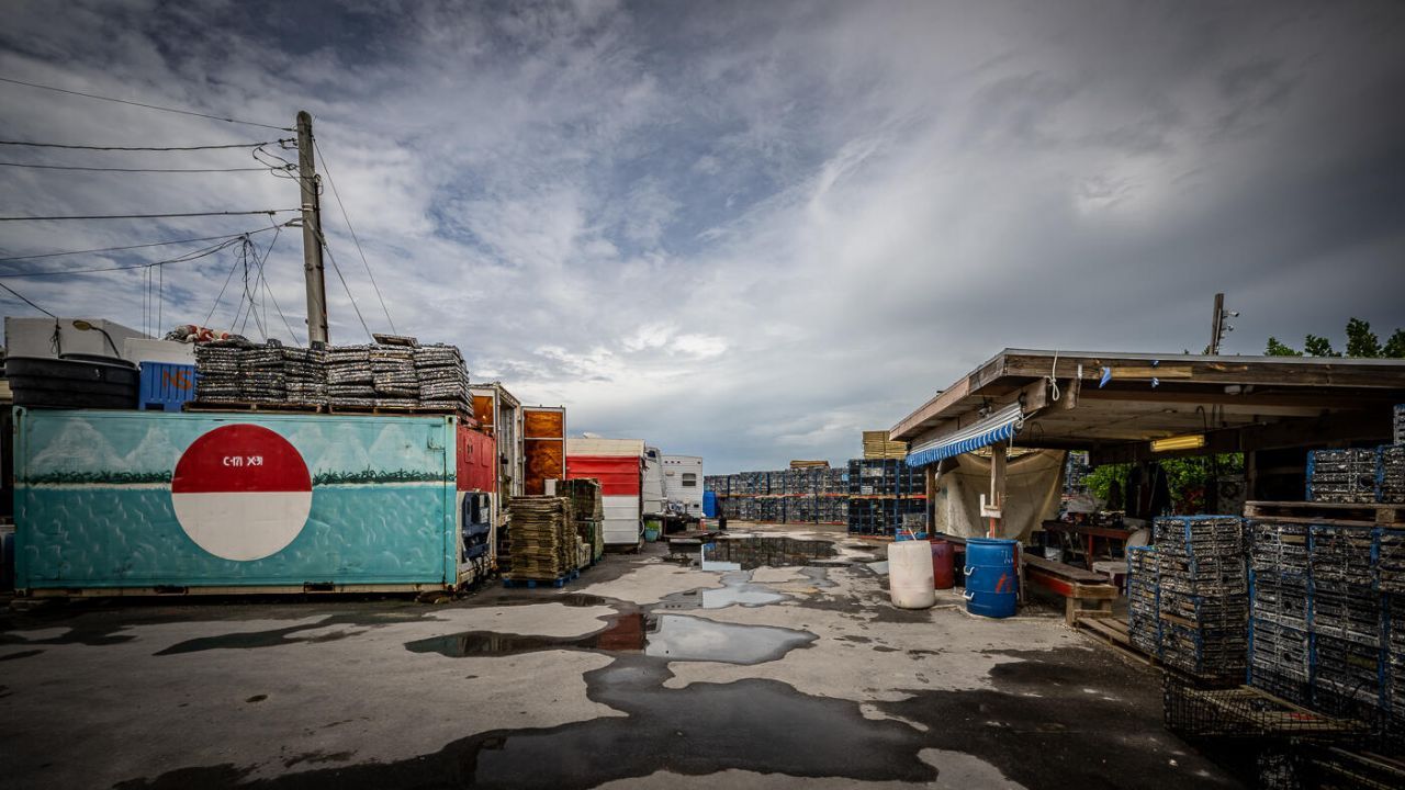 15 Seaview Avenue, Conch, FL 33050 Photo