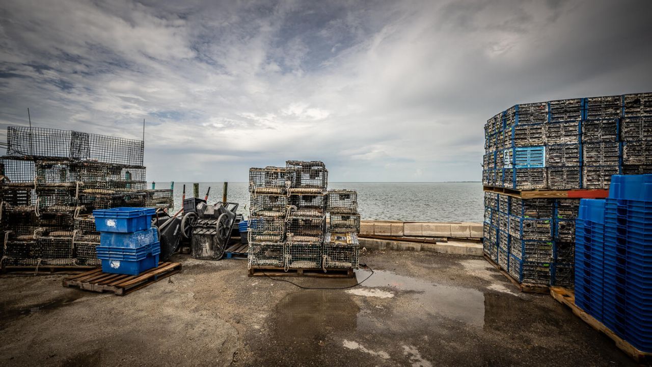 15 Seaview Avenue, Conch, FL 33050 Photo