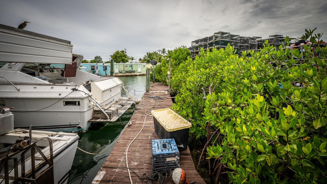 15 Seaview Avenue, Conch, FL 33050 Photo